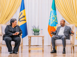 የካቲት 10 2017 - በልዩ ልዩ ስብሰባዎችና ዝግጅቶች ካለፈው ጥር ወር አጋማሽ አንስቶ በአፍሪካ ህብረት አዳራሽ ሲካሄዱ የቆየው ጉባኤ በትናንትናው እለት ተጠናቋል