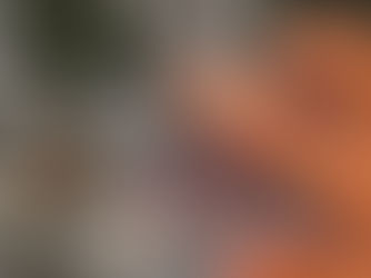 ጥር 19/2018 - የውጪ ሀገራት ወሬዎች