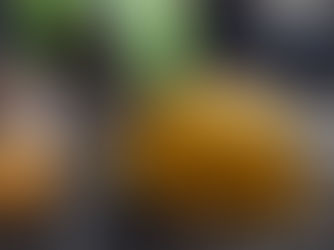 የካቲት 28፣2016 -የስራ ላይ አደጋን እንዲቆጣጠር ሀላፊነት የተሰጠው መ/ቤት በቂ በአሰሪዎች ላይ ብርቱ ቁጥጥር ማድረግ አልቻልኩም ብሏል