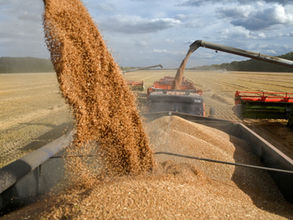 ሐምሌ 17፣2015 - የዩክሬይንና የሩሲያ፤ የእህልና የማዳበሪያ ምርት በአፋጣኝ ለአለም ገበያ እንዲቀርብ ተጠየቀ