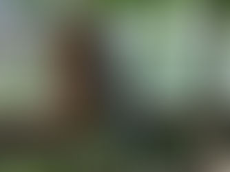 ሐምሌ 10፣2015 - ቭላድሚር ፑቲን ዩክሬይን የክላስተር ቦምብ ለውጊያ እንዳታውል በብርቱ ማስጠንቀቃቸው ተሰማ፡፡