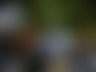 የነሐሴ 24፣2015 የባህር ማዶ ወሬዎች