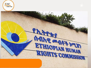 ጥቅምት19፣2016 - ''የአማራ ክልል ሁሉም ዞኖች በተለያየ ደረጃና ጊዜ የትጥቅ ግጭት ተካሂዶባቸዋል'' ኢሰመኮ