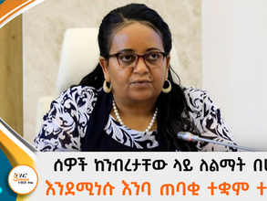 ሰዎች ከንብረታቸው ላይ ለልማት በሀይል እንደሚነሱ፣ የእንባ ጠባቂ ተቋም ሪፖርት ተናገረ።