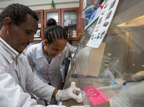 ሚያዝያ 15፣2016 - አዲሱ የካላዛር ህክምና ወደ ምዕራፍ ሁለት የክሊኒካል ሙከራ መሸጋገሩ ተሰማ