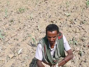ታህሳስ 9፣2016 - ሞት ጭምር እያስከተለ ነው የተባለው የአማራ ክልል ድርቅ ለመቋቋም የግብርና ቢሮው ምን እየሰራ እንደሆነ ጠይቀናል