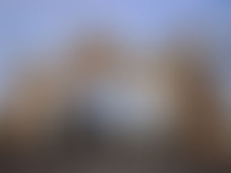 ጥር 21፣2016 - እስልምናን የተመለከቱ ቅርሶችን ዘርፉ በተገቢው እየተጠቀመባቸው አይደለም ሲሉ አስጎብኚ ድርጅቶች ተናገሩ