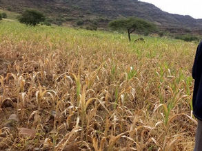 ታህሳስ 16፣2016 - በዞኑ መጠኑ አነስተኛ ቢሆንም የምግብ ድጋፍ መቅረቡን ሰምተናል