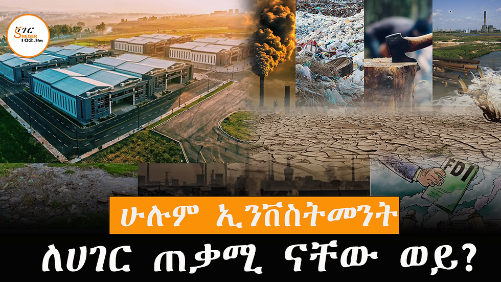 የሚመጣው የውጪ ቀጥተኛ ኢንቨስትመንት ሁሉ ጠቃሚ ነው ወይ? 
