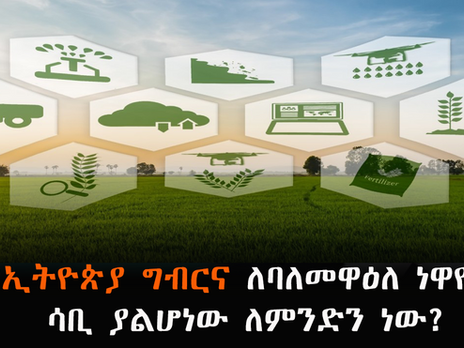 የኢትዮጵያ ግብርና ለባለመዋዕለ ነዋዮች ሳቢ ያልሆነው ለምንድነው?
