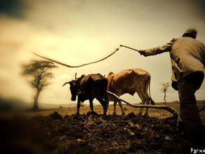 ታህሳስ 24፣2016 - ምጣኔ ሐብት፡- የአየር ንብረት መዛባት፣ ግብርናውና ማክሮ ኢኮኖሚ