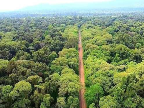 ህዳር 24፣2017 - በኢትዮጵያ በየዓመቱ 94,000 ሄክታር ደን ይጨፈጨፋል