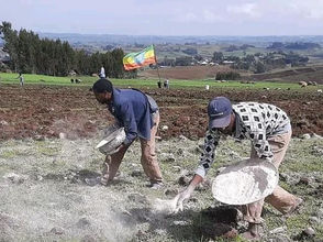 ግንቦት 1፣2016 - በአፈር እና ማዳበሪያ ዘመናዊ አሰራር ዙሪያ የአፍሪካ መሪዎች ሊተባበሩ ይገባል ተባለ