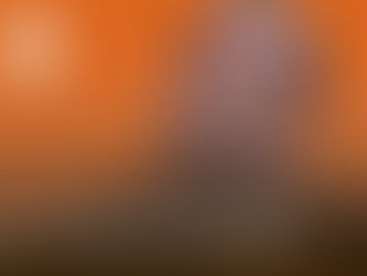 ጥር 24 2017 - ሁሉንም መስፈርቶች የግድ ይተገበራሉ ከተባለም ሁሉም ተቋም በሚባል ደረጃ አደጋ ውስጥ የሚከት ነው