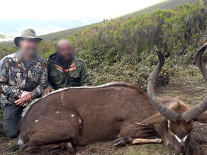 ነሀሴ 13 2017 - በኢትዮጵያ የደጋ አጋዘን ለማደን 15,000 ዶላር ያስከፍላል፤ ይህም ከፍተኛው የዱር እንስሳት የማደኛ ዋጋ ነው ተባለ