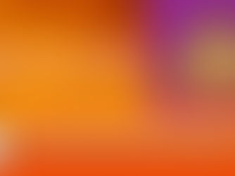 ህዳር 4፣2017-መንግስት ለሽያጭ ለሚያቀርባቸው 900 ቢሊየን ብር የሚያወጣ የግምጃቤት ሰነድ ገንዘቡን ከየት አምጥቶ ይከፍላል?