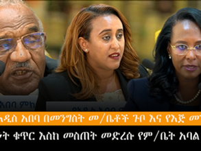 በአዲስ አበባ በመንግስት መስሪያ ቤቶች ጉቦ እና የእጅ መንሻ፤ አካውንት ቁጥር እስከ መስጠት መድረሱ ተነገረ፡፡