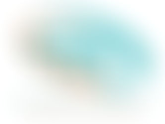 ጥር 22 2017 - ''በራሳቸው ፈቃድ ሳይመዘገቡ የቀሩ እንጂ እኔ ሄጄ የዘጋሁት ተቋማት የለም'' የትምህርትና ስልጠና ባለስልጣን