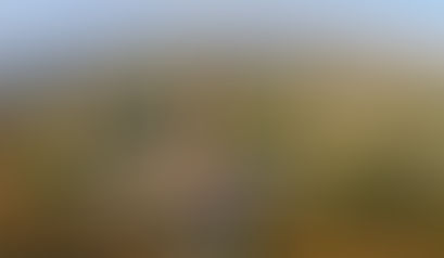 ጥቅምት 4 2018 - የቀድሞ ተዋጊዎች እና ሌሎች አካላት በትግራይ ክልል ከሰሜኑ ጦርነት በኋላ ውስን በሆነ የተፈጥሮ ሃብት ሽሚያ ውስጥ መግባታቸውን ጥናት አሳየ