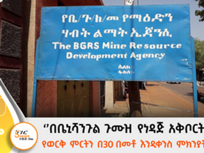 በቤኒሻንጉል ጉሙዝ የነዳጅ አቅርቦት ችግር የወርቅ ምርትን በ30 በመቶ እንዲቀንስ ምክንያት ሆኗል