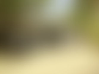 ነሐሴ 5፣2015- ዜጎች ወደ ጤና ተቋማት የሚሄዱት ሕመማቸው ከበረታ በኋላ መሆኑን ጥናት አሳይቷል