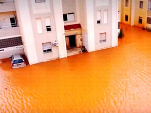 መስከረም 2፣2016 - የባህር ማዶ ወሬዎች