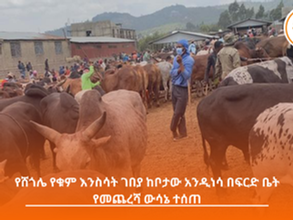 ሐምሌ 3፣ 2016 የሸጎሌ የቁም እንስሳት ገበያ ከቦታው አንዲነሳ በፍርድ ቤት የመጨረሻ ውሳኔ ተሰጠ፡፡