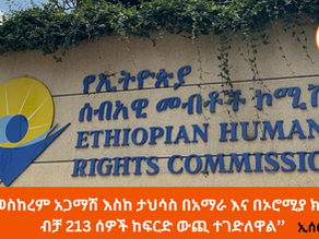 ጥር 16 2017 - ‘’ከመስከረም አጋማሽ እስከ ታህሳስ በአማራ እና በኦሮሚያ ክልሎች ብቻ 213 ሰዎች ከፍርድ ውጪ ተገድለዋል’’ ኢሰመኮ