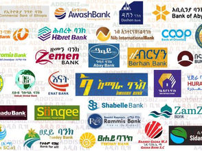 ታህሳስ 24፣2017 - ኢትዮጵያ የውጭ ምንዛሪ ማሻሽያ ማድረጓ ለኢትዮጵያ ባንኮችን ስኬት ወይስ እንቅፋት ሆናቸው?