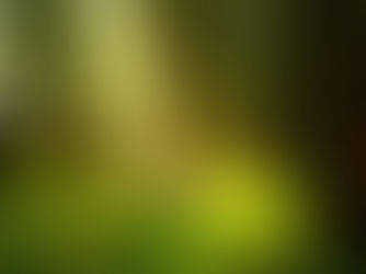 ጥቅምት 28፣2016 - የብዝሃሕይወትና የሥነ ምህዳርን መመናመን መቀነስ አልተቻለም ተባለ