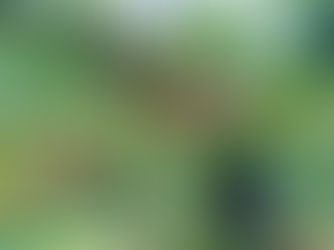 መጋቢት 3፣2016 - ቡናን ያለጥላ በመትከል ቀርጫንሼ የምልከውን የቡና መጠን በመጨመር የማገኘውን የውጪ ምንዛሪ እያሳደኩ ነው አለ