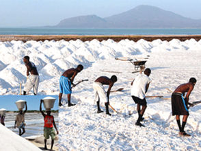 መስከረም 24፣2016 - ኢንዱስትሪዎች ከሚያስፈልጋቸው የጨው መጠን እያገኙ ያሉት ከግማሽ በታች ነው ተባለ