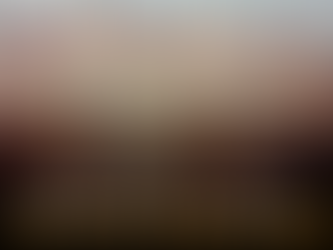 ከቀናት በፊት በተከበረው የፋሲካ በዓል ወቅት የሸማቾች ህብረት ስራ ማህበራት አንድ ኪሎ ስጋ በ650 ብር እንዲሸጡ ተወስኖ በዚሁ መሰረት ሲያቀርቡ ቆይተዋል።