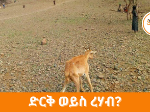 የካቲት 16፣2016 - የተከሰተው ድርቅ ብቻ ወይስ ረሃብም?