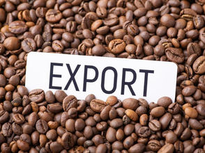 ሐምሌ 29፣2016 - የአፍሪካ ነፃ የንግድ ቀጠና ኢትዮጵያ በአፍሪካ ውስጥ ያለው ሰፊ የገበያ እድል እንድትጠቀም ያደርጋታል ተብሏል