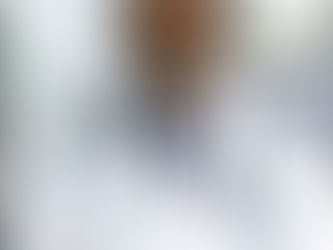 ግንቦት 1 2017 - የልብ ህክምና ሆስፒታል በማቋቋም የሚታወቁት የዶ/ር ፍቅሩ ማሩ የቀብር ሥነ ሥርዓት ዛሬ በስዊድን ሀገር ተፈፀመ