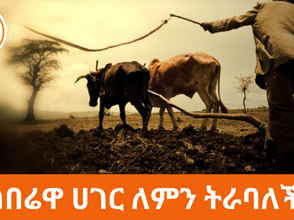 የግብርና ምርምር ተቋሞቻችን ስለምን ከዚህ የችግር አዙሪት አላወጡንም?
