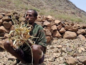 ህዳር 25፣2016 - በዋግኽምራ ዞን የተከሰተውን ድርቅ ተከትሎ በአካባቢው፣ እንደ ኩፍኝና ኮሌራ ያሉ ወረርሽኞች እያስከተለ ነው