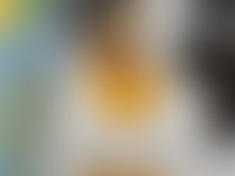 መስከረም 9 2018 - አስረኛው የኢትዮጵያ የከተሞች ፎረም ህዳር ወር ላይ በሠመራ ሎጊያ ከተማ እንደሚካሄድ ተነገረ።