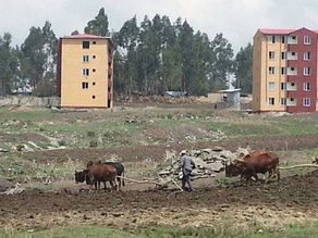 ሚያዝያ 3፣2016 - ግልፅ ያለ ህግ በሌለው የሪል ስቴት አልሚ ድርጅት እና ግለሰቦች መሀል የሚደረገው ውል ከአመት አመት በውዝግብ ቀጥሏል