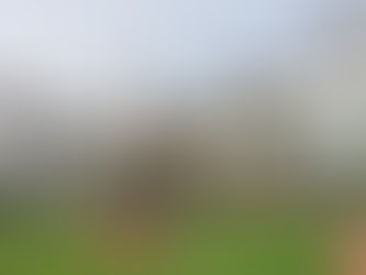 ጥር 21 2017 - የአለም ሎሬት ሜተር አርቲስት አፈወርቅ ተክሌ መኖሪያ እና ስቲዲዮ የነበረው ቪላ አልፋ ከአራት ወራት ብኋላ ለህዝብ ክፍት ሊደረግ ነው