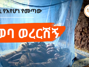 ጥቅምት 23፣2017 - በአንድ ክልል ብቻ ከ600,000 በላይ ሰዎች በወባ በሽታ ተይዘዋል