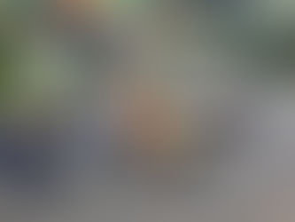 መስከረም 15 2018 - ስለ ሀገሩ የማያውቅን ትውልድ ስለ ሀገር ፍቅር ማስተማር ውጤት ስለማያመጣ፤ ትውልዱ ሀገሩን እንዲያውቅ ብዙ ሥራ ይጠበቃል ተባለ