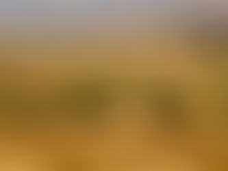 መሬት በኢትዮጵያ ትልቅ የገቢ ምንጭ እና  የፖለቲካ ስርዓቱም ዋነኛ ትኩረት ቢሆንም እስከዛሬም ያልተፈታ አስተዳደራዊ ችግር እንዳለበት ይነገራል፡፡