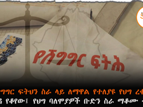 ነሀሴ 8 2017 - የሽግግር ፍትህ ሲያሰናዳ የቆየው የህግ ባለሙያዎች ቡድን ስራ ማቆሙ ተሰማ፡፡