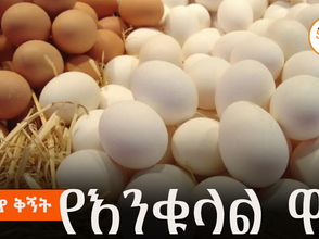 ግንቦት 28 2017 - የገበያ ቅኝት - የእንቁላል ዋጋ መናር