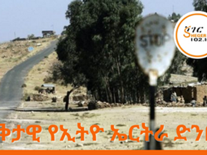 የኢትዮ ኤርትራ ድንበር ማካለል ጉዳይ