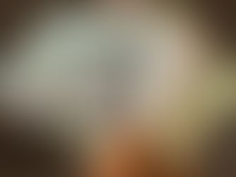 ጥቅምት 26፣2017 - ኢትዮጵያ ለደቡብ ሱዳን የፈቀደችው የ738.2 ሚሊዮን ዶላር ብድር በፓርላማው ፀደቀ፡፡