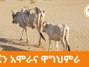በድርቅ ምክንያት ልጆቻቸውን ለእረኝነት እንዲሰጡ እየተጠየቁም ነው