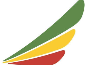 ነሐሴ 2፣2015 የኢትዮጵያ አየር መንገድ በመጪው  ቀናት ወደ አማራ ክልል የሚደረጉ በረራዎችን ሰርዣለሁ  አለ፡፡
